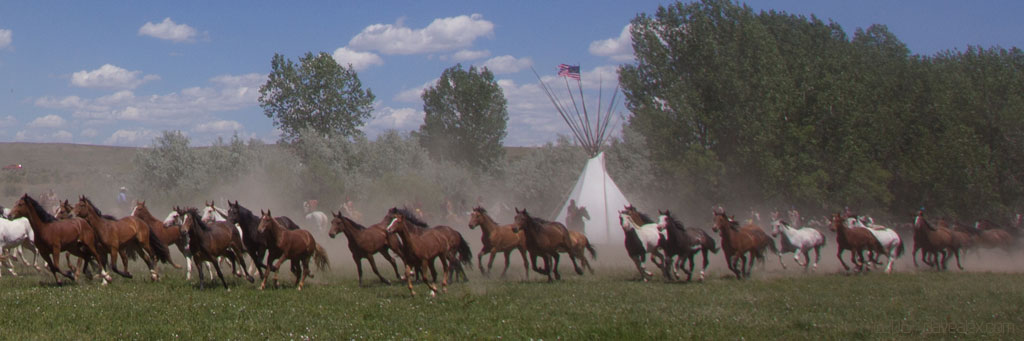 Little Bighorn Reenactment 2015