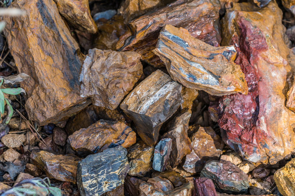 Some of the pile, you can see the variety of color and agatized wood.