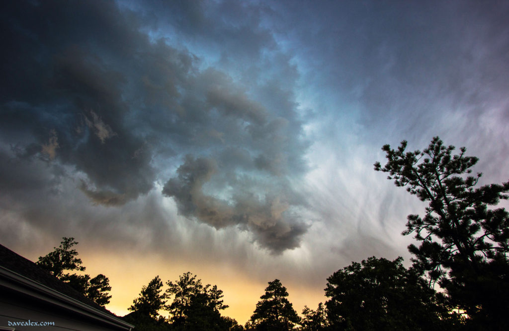 larkspur storm clouds