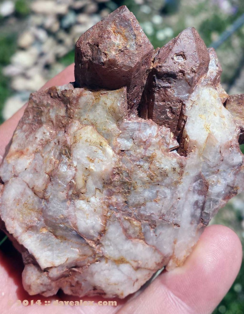 A small cluster of white quartz