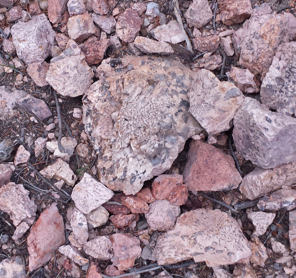Example of graphic granite
