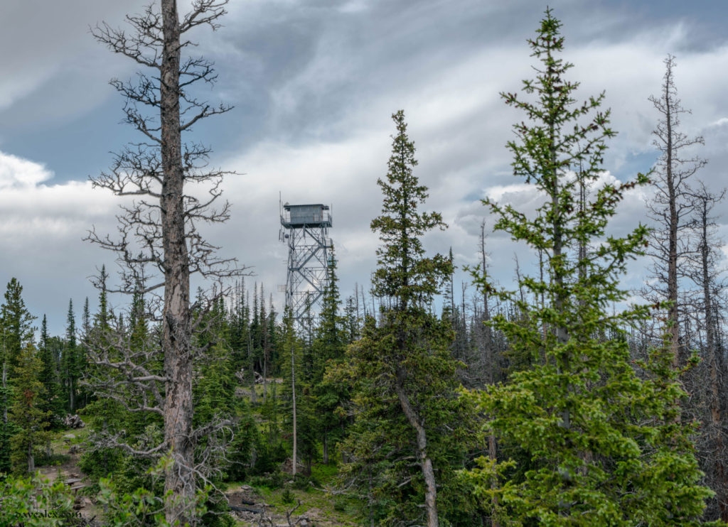 Deadman fire watch tower