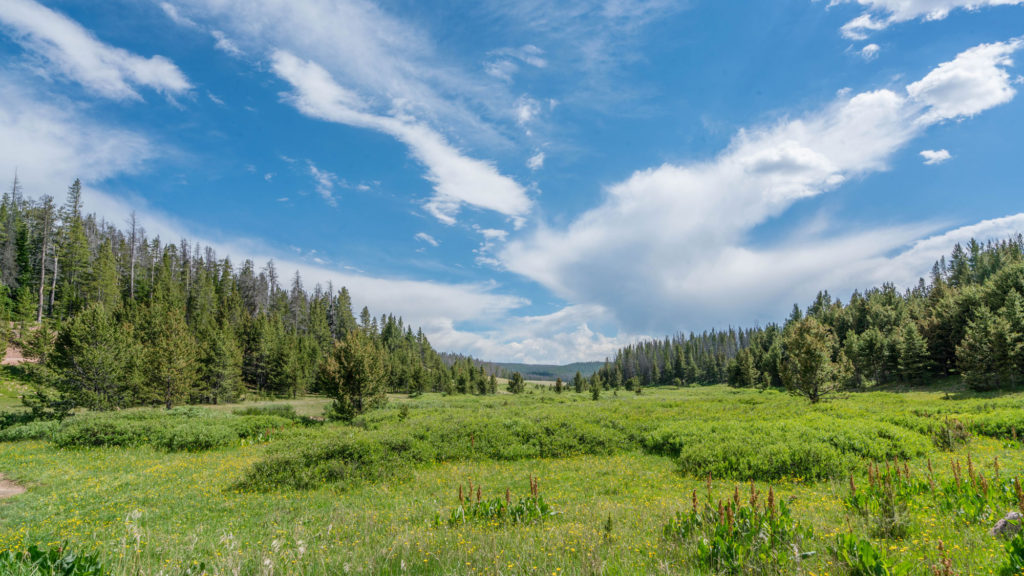 Deadman Creek valley