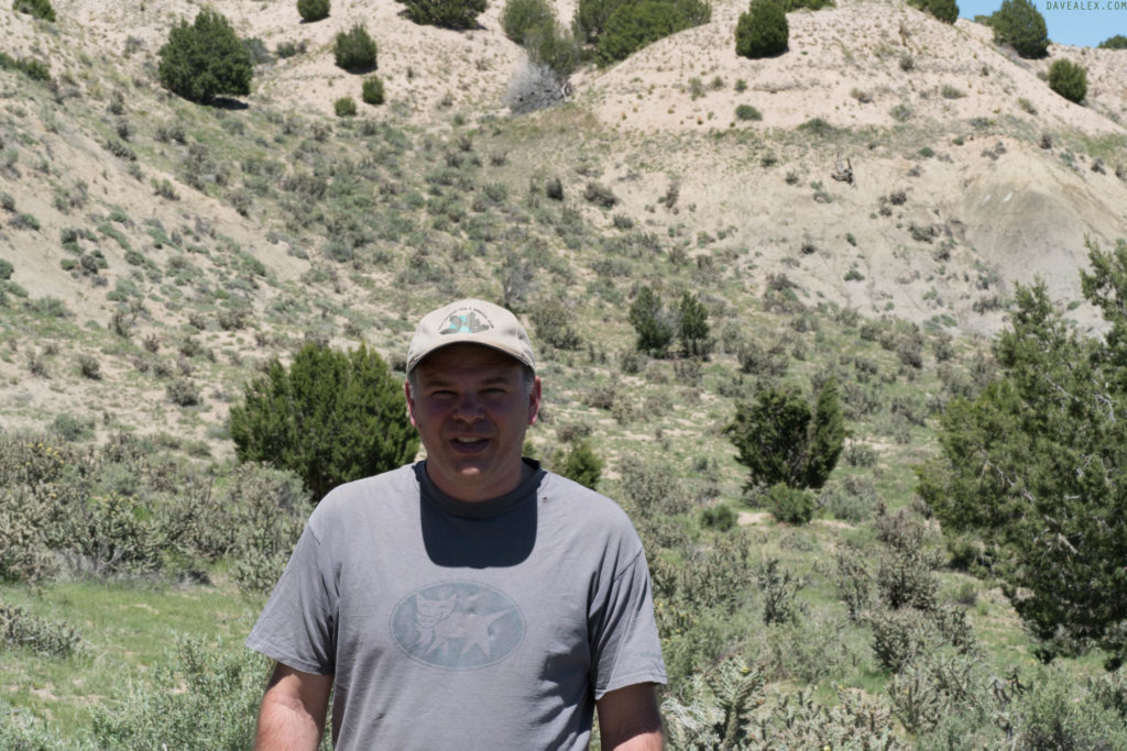 Dave and Pierre Shale formations